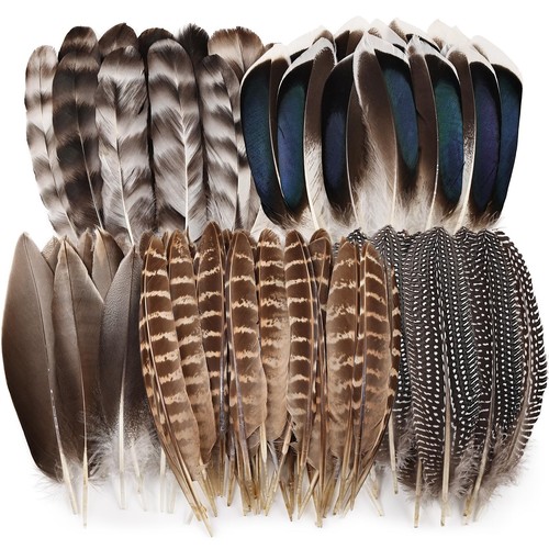 Ihufeather 40pz piume - ihufeather, di