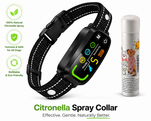 Collare per cani spray - collare,