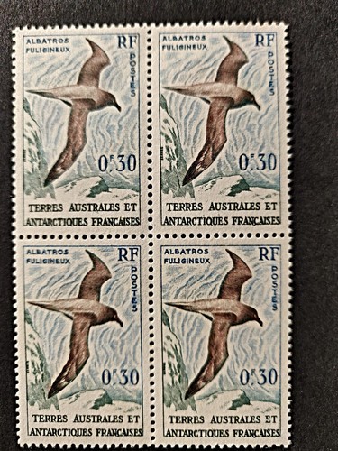 Antartico francese 1959 - antartico,