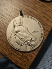 CESENA CORSE AL TROTTO CAVALLI