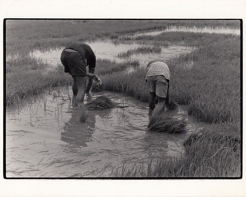 Sebastiao salgado ecuador - sebastiao,