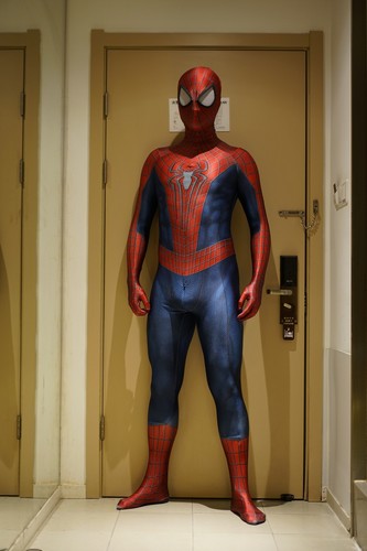 The amazing spiderman - the,