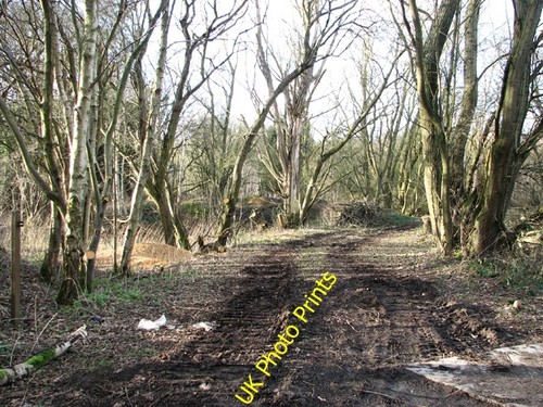 Photo 6x4 track into - photo,