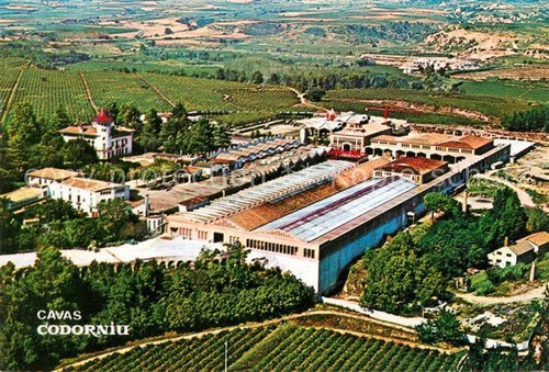 Cavas codorniu ripresa aerea - codorniu,