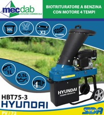 Biotrituratore a Benzina con