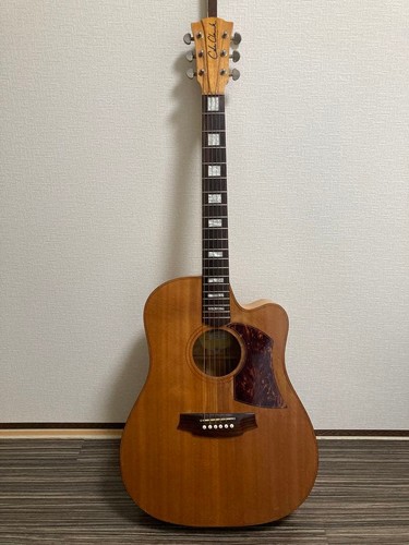 Chitarra acustica cole - chitarra,