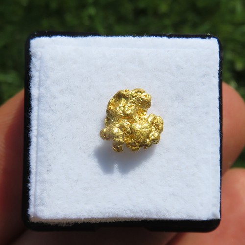Minerali rara pepita d - ***, d'oro