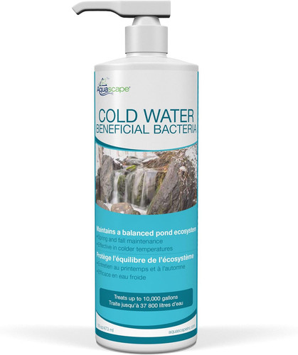 Aquascape acqua fredda - acqua, batteri
