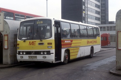 Midland fox leicester - fox,
