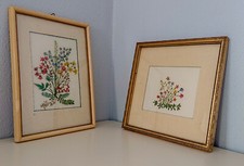 Coppia di Quadri " composizioni di fiori secchi "  vintage