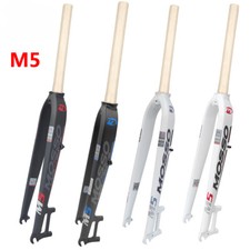 Forcella rigida bici da strada