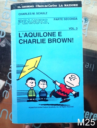 Aquilone charlie brown - charlie,