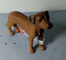 RHODESIAN RIDGEBACK  13895