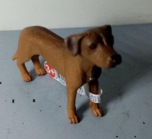 Rhodesian ridgeback 13895 - ridgeback,