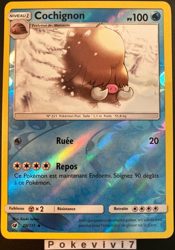 Carte pokemon cochignon - carte, 20/111