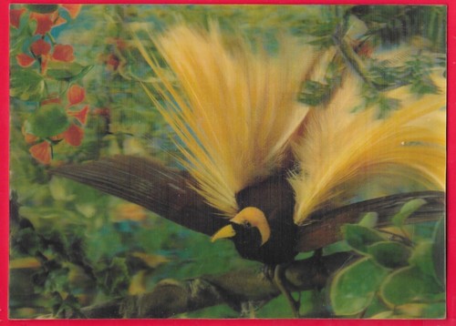 Cartolina tridimensionale 3d - tridimensionale,