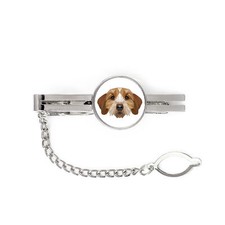 Basset Fauve de Bretagne spina