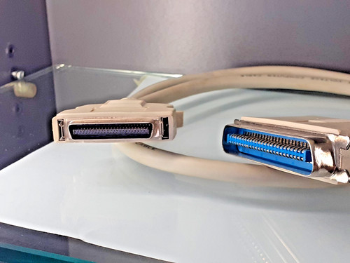 Cavo scsi connettori - cavo,