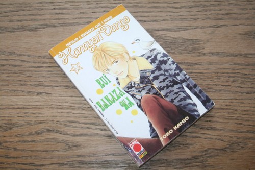 Yoko kamio hanayori dango - yoko,