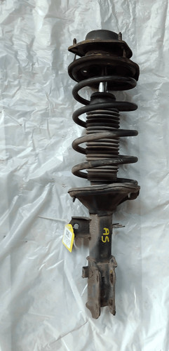 546501c300 ammortizzatore ant - 546501c300,