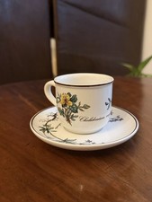 Villeroy Boch botanica tazzina