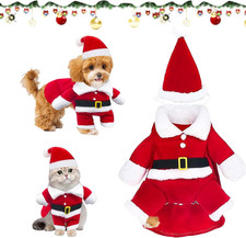 Canes Babbo Natales Vestiti