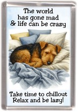 Calamita frigo per cani Welsh