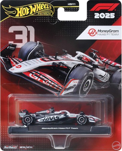 Haas esteban ocon modello - esteban,