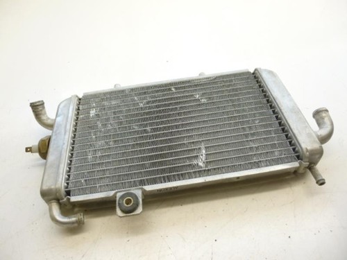 Radiatore acqua piaggio - radiatore,