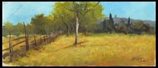 CAMPAGNA TOSCANA cm 13x30