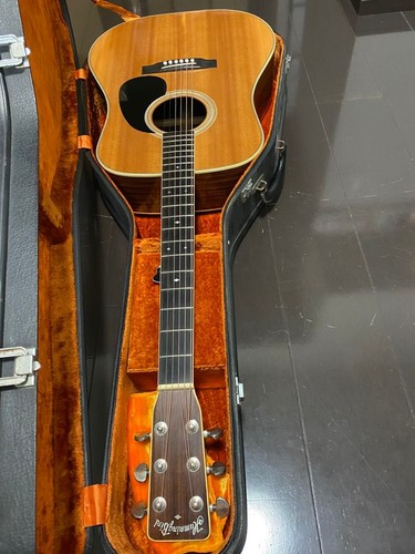 Chitarra acustica tokai - acustica,