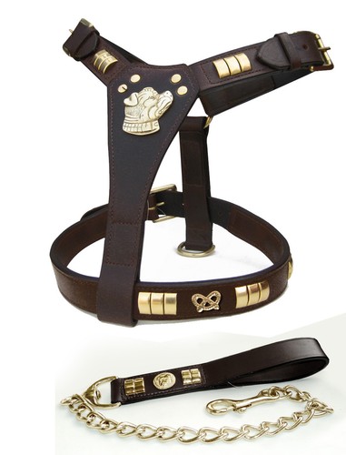 Set imbracatura catena - e,