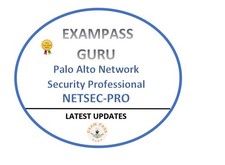 Palo Alto NETSEC-PRO Security