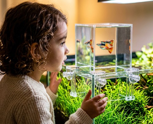 Natureholic aquabalkon vetro - -,