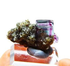 11 grammi di esemplare