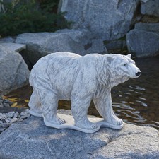 Orso polare orso polare orso