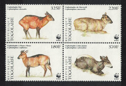 Togo wwf west african duikers - wwf,