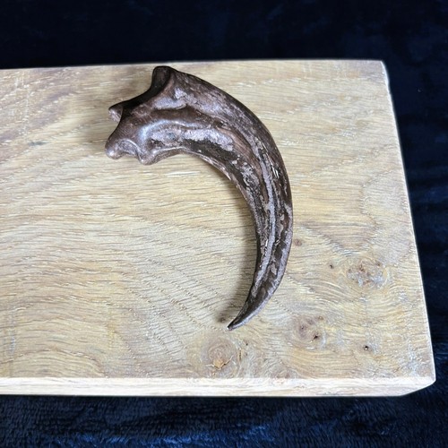 Velociraptor killing claw - killing,