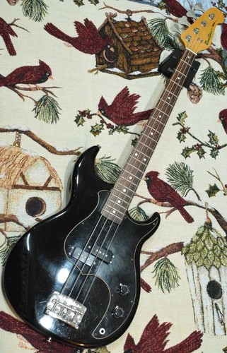 Chitarra basso elettrico