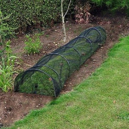 Net garden allotment grow - allotment,