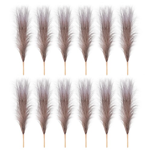 Erba finta pampas 17 - 12,