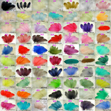 Piume Colorate Assortite Di