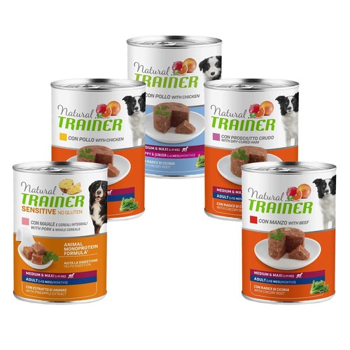 Natural trainer cane - trainer, umido