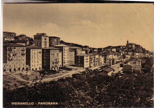 Cartolina vignanello n - cartolina, b/n