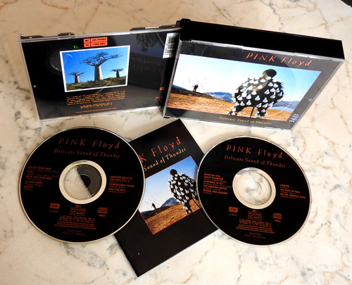 Pink floyd delicate - sound, of