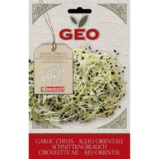 SEMI BIO DI AGLIO ORIENTALE
