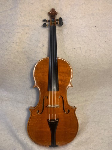 Violino fatto dal liutaio - violino,
