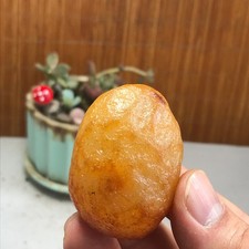 Bonsai Naturale Suiseki Gobi