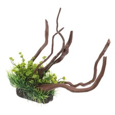  Ornamento Del Serbatoio Dei