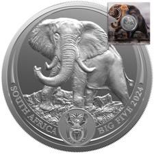 Moneta Argento Sudafrica Big